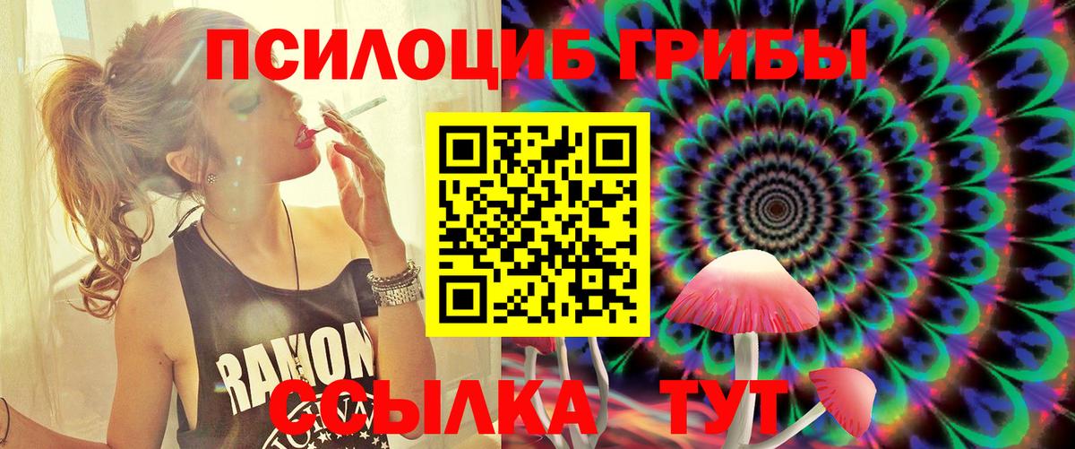 Калач-на-Дону  Галлюциногенные грибы GOLDEN TEACHER  Вход с VPN 