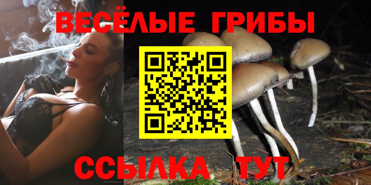 COCAIN  Калач-на-Дону  Вход с VPN  МЕТАМФЕТАМИН  ГЕРОИН  АМФ   МДМА  Каннабис  Мефедрон кристаллы  Alpha-PVP СОЛЬ   ГАШ 
